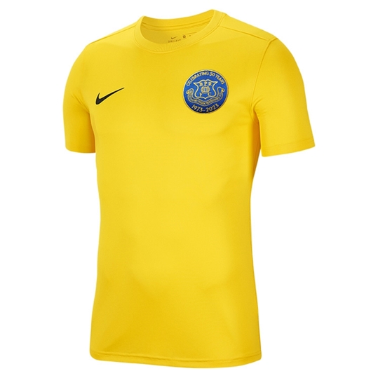 7b69d-nike-park-vii-ss-jersey-yellow-front